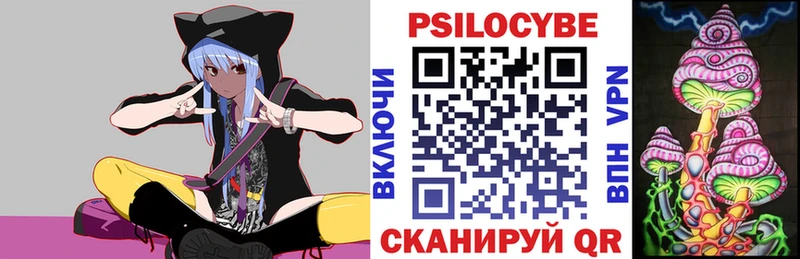 Псилоцибиновые грибы Psilocybe  Элиста 
