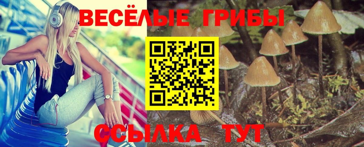 Галлюциногенные грибы мухоморы Элиста