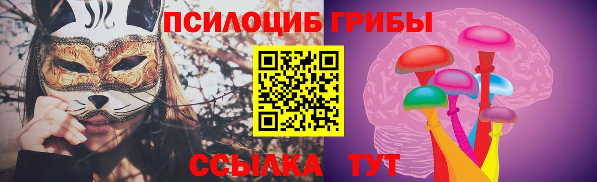Псилоцибиновые грибы Psilocybe  Вход с VPN  Элиста 